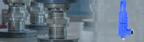 LESER Compact Performance Safety Valve Compact Performance Safety Valve from LESER