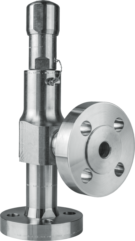 LESER Compact Performance Safety Valve Type 438