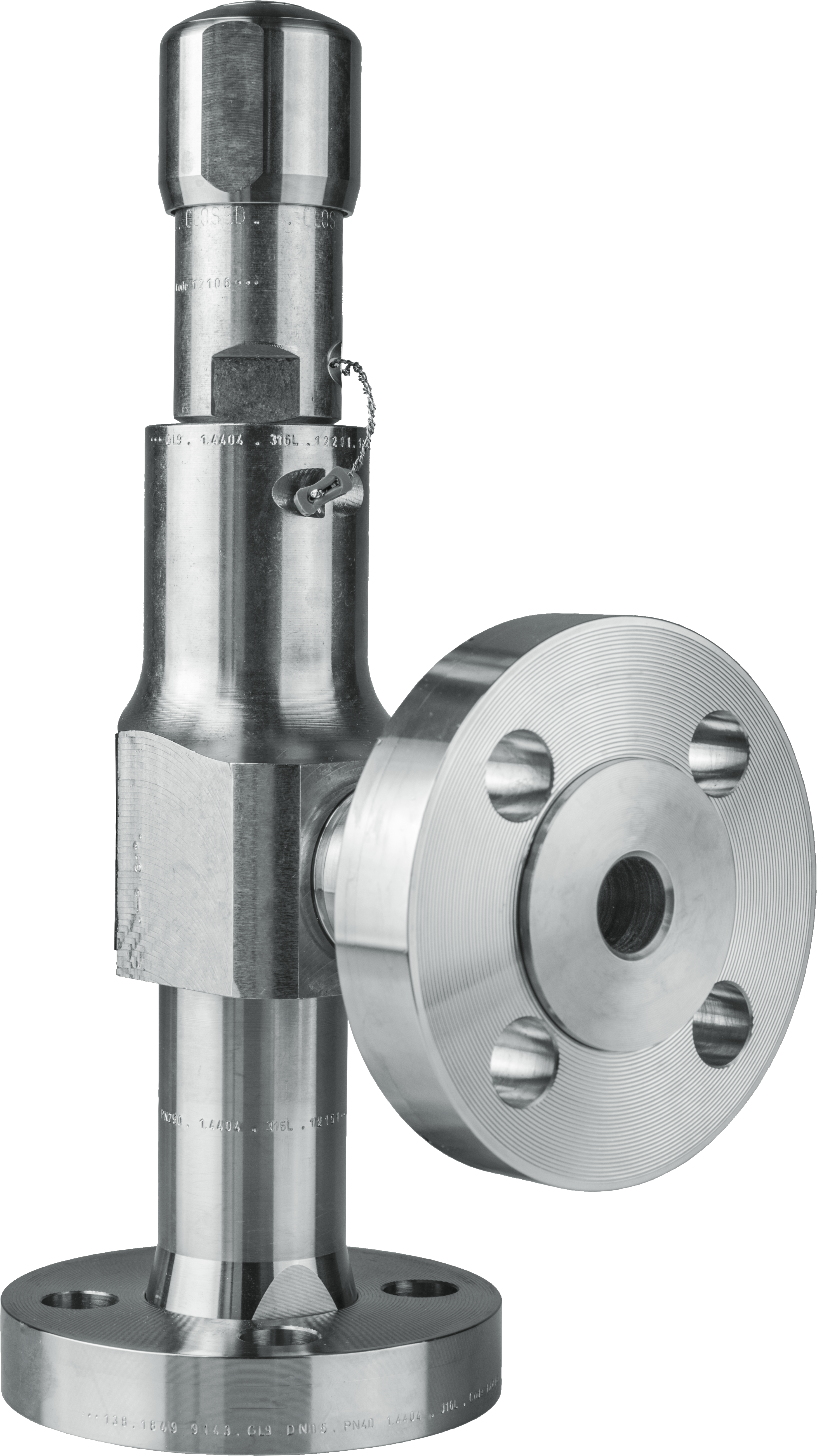 LESER Compact Performance Safety Valve Type 439