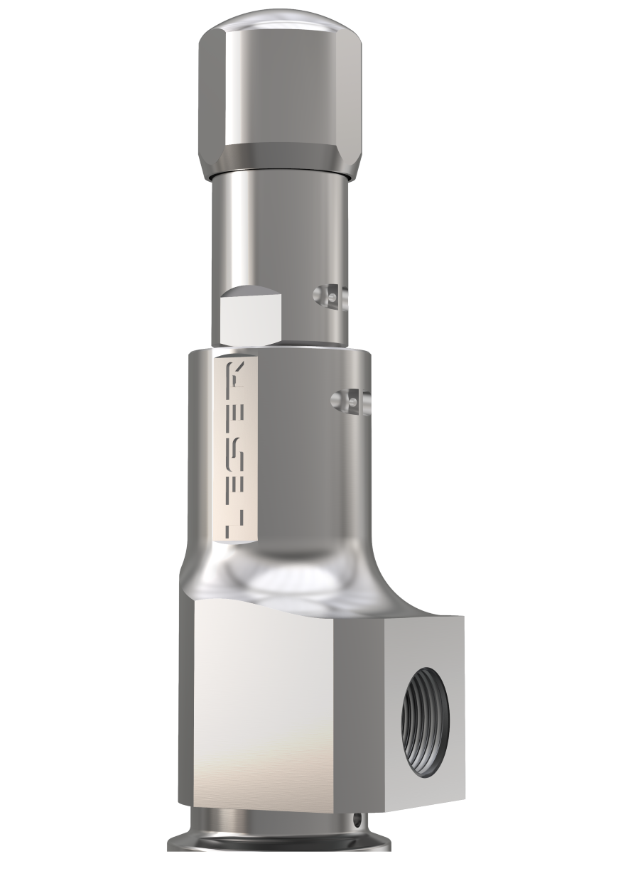 LESER Clean Service Safety Valve Type 481