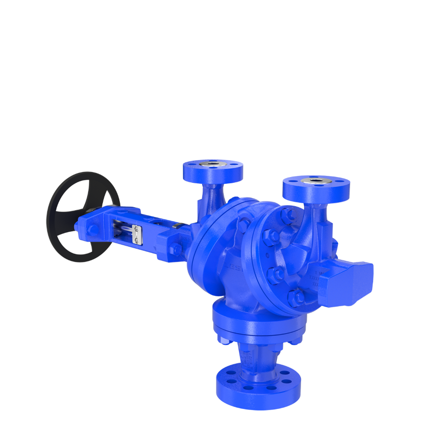  Soupe  au chariot LESER Type  320