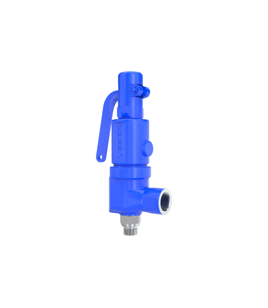 LESER S&R Safety Valve Type 460