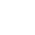 TS LESER Chinese TS Approvel