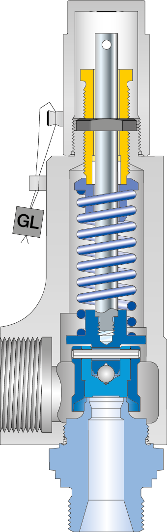 LESER safety valve Type 437 cutting image