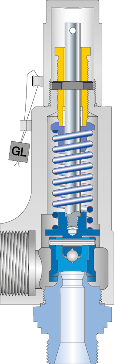 LESER safety valve Type 437 cutting image