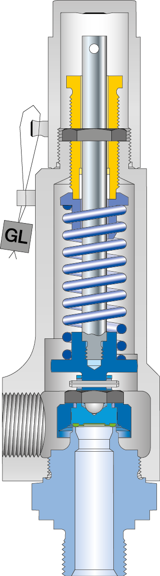 LESER Safety valve Type 439 cutting image