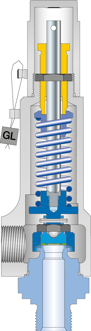 LESER Safety valve Type 439 cutting image