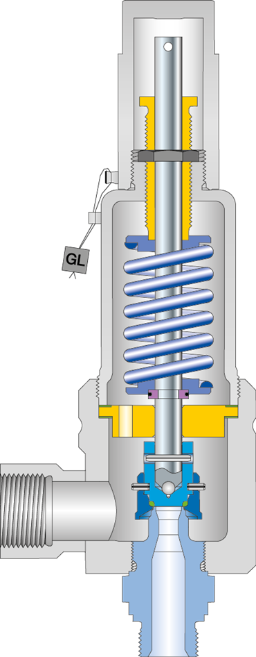 LESER Safety valve Type 462 cutting image