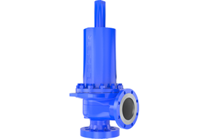 Maintenance of API Safety Valve LESER The Safety Valve