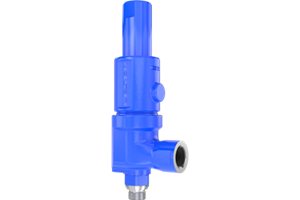 Maintenance_Wartung_Compact-Performance_Sicherheitsventil_Pressure_Relief_Valves