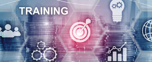 LESER-Training Concept LESER-Training Concept
