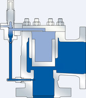 Functionality pilot operated safety valve