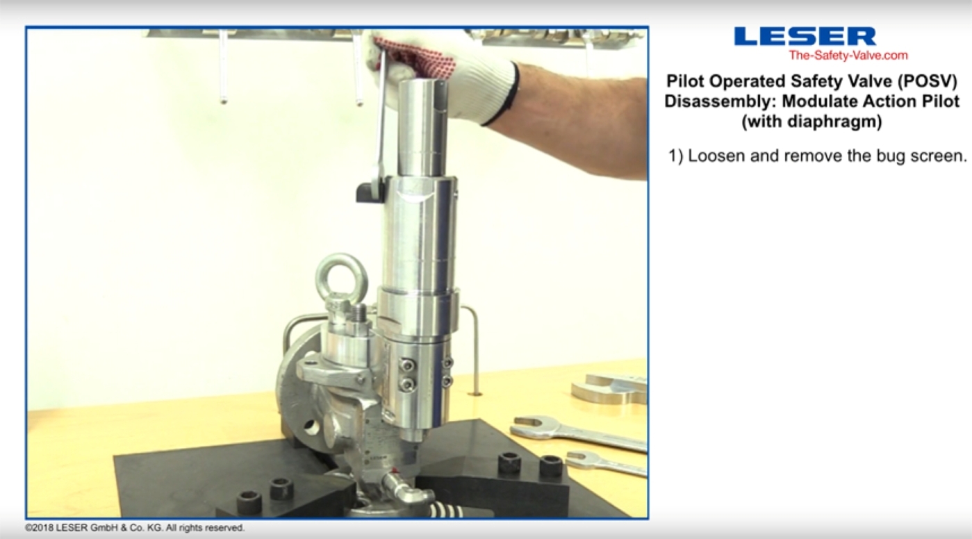 Disassembly Modulate Action Pilot diaphragm