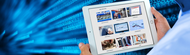 LESER Support and Tools LESER Dienstleistungen