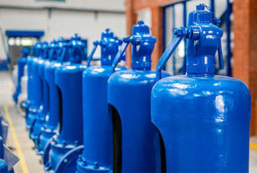 Producción de LESER