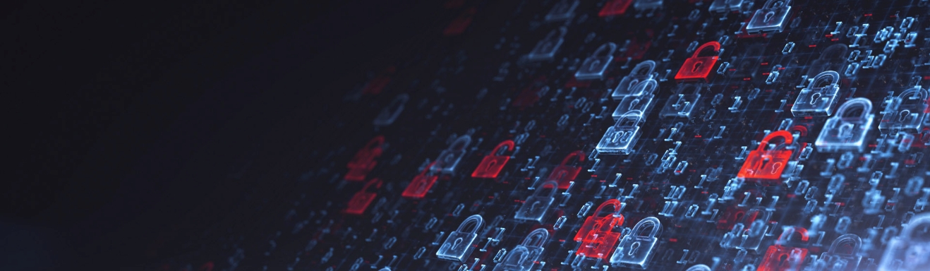 LESER Datenschutz LESER Privacy