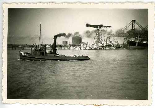 Schiff Woltmann