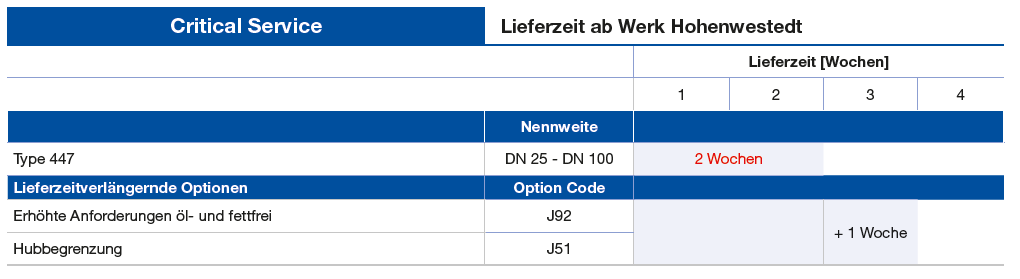 Lieferzeit Critical Service